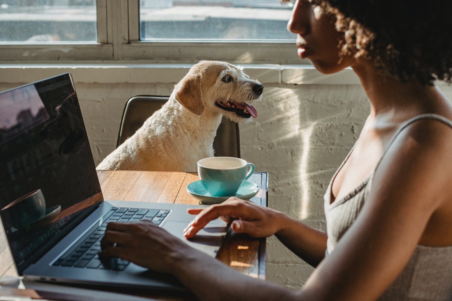 Woman on computer doing research.